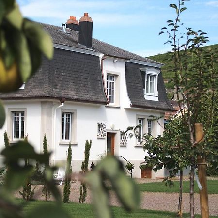 Les Charmes De La Vallee Noble Soultzmatt Bagian luar foto